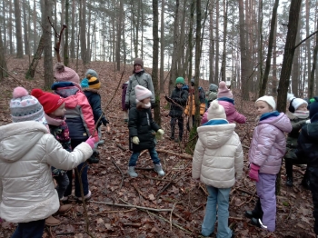 606177ca-4e08-4795-a363-cfa2138da54d