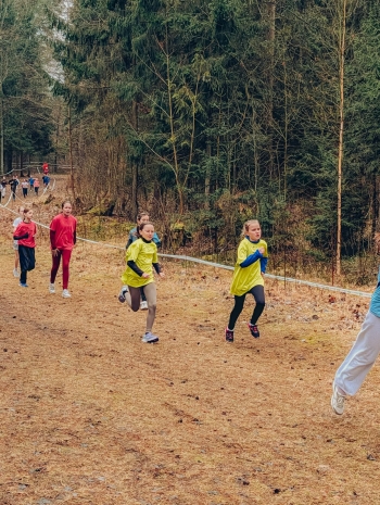 1e9d4492-0d66-4978-bead-d487f97483aa