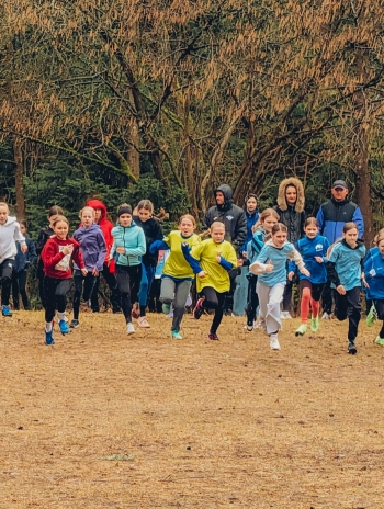 199a66a5-aa77-47e6-b2f1-d8f1399d8d06