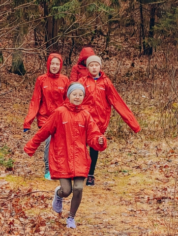 a824d3a1-5a50-41b3-84d5-17e96639235e