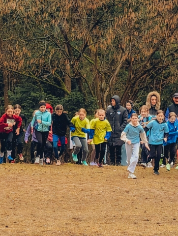 f53d67ac-441f-4ac9-a76b-5297efe427e0