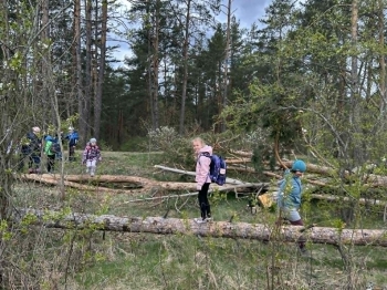 1fa548aa-fe77-48b8-8179-70d4aa1b4fe3