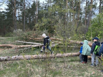 c356045c-6cea-4eb6-8e8a-7fa1e82c0056