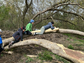 f4d4b73f-b6d1-449a-96f3-135553c93433