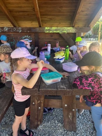 att.2IQO134A4YeaOAgfvoU5NpmmsSeT5VxpNSFAbJDGkH8.JPG