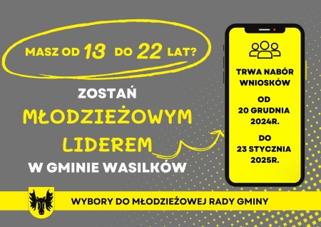 Nabór do Młodzieżowej Rady Gminy 