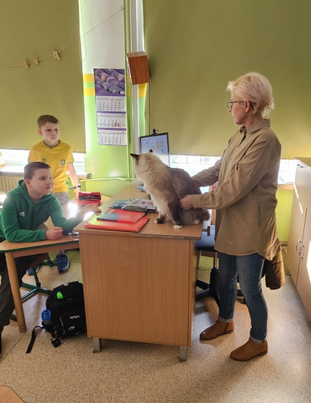 Dzień Kota w klasie 2a – wyjątkowa lekcja pełna mruczenia!